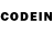 Псилоцибиновые грибы Psilocybe GodPlayzGames !