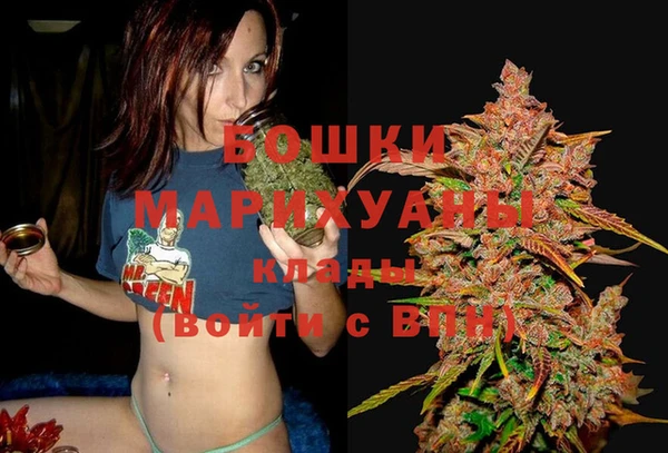 мдпв Новозыбков