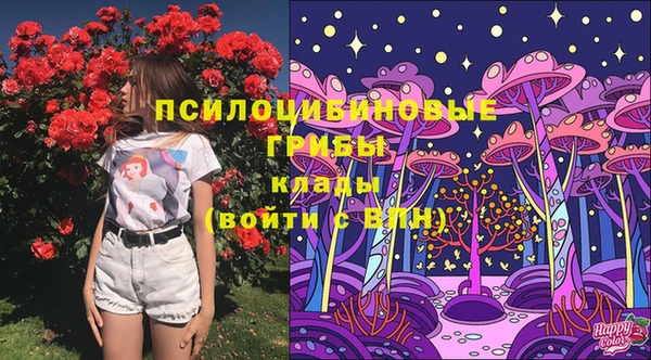 винт Нягань