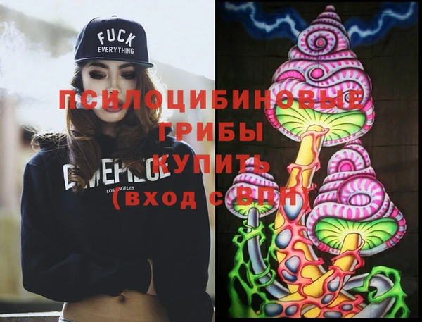 ешки Няндома