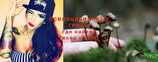 винт Нягань