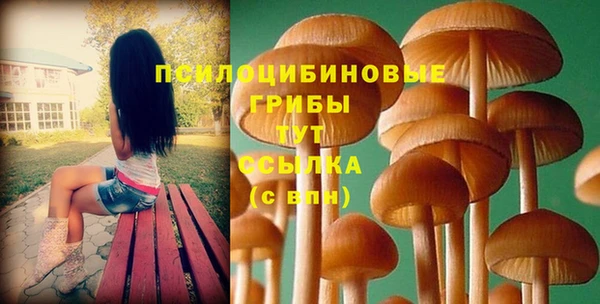 мескалин Осинники