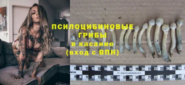 мескалин Осинники