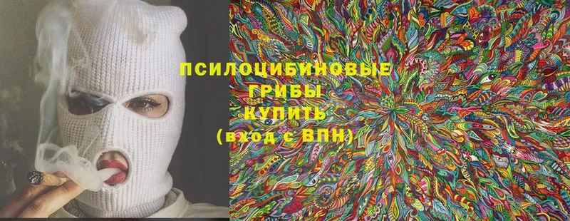 кракен маркетплейс  Саров  Галлюциногенные грибы Magic Shrooms 