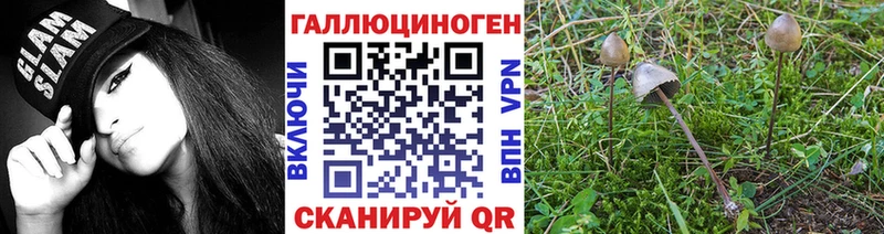 даркнет формула  Саров  Галлюциногенные грибы ЛСД  мега tor 