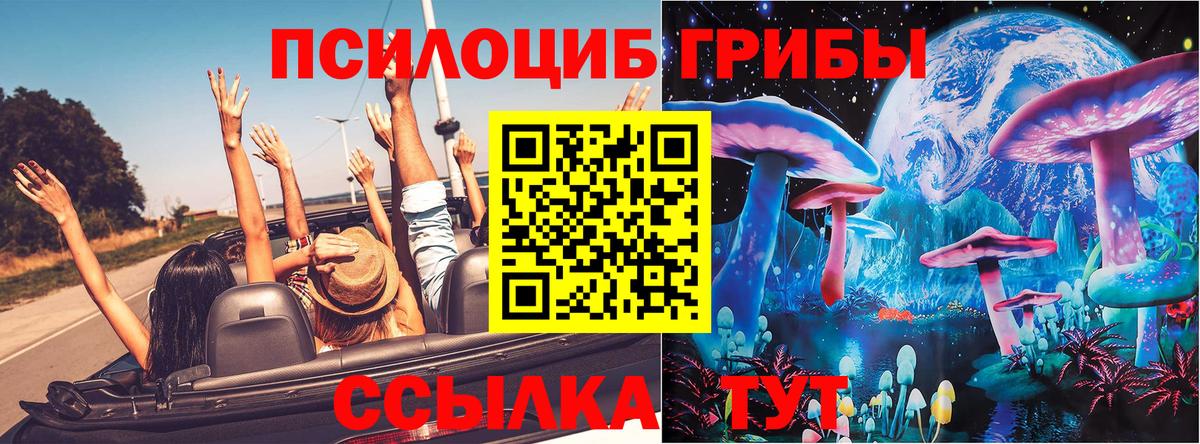 Галлюциногенные грибы GOLDEN TEACHER Саров