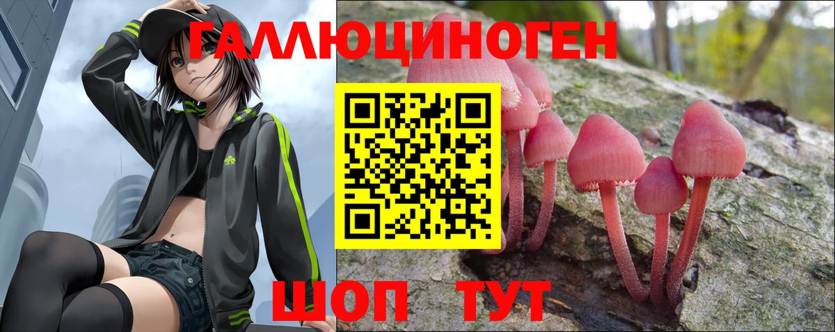 МЕФ Саров