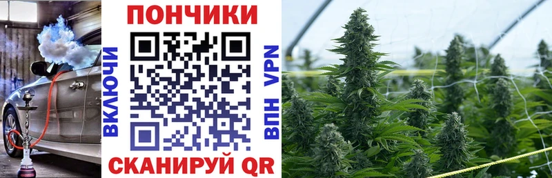 Бошки марихуана конопля  Саров 